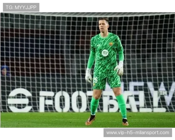 巴萨引援工作已结束 现专注完成马丁 什琴斯尼与巴德吉的注册工作 巴萨引援工作已结束 现专注完成马丁 什琴斯尼与巴德吉的注册工作