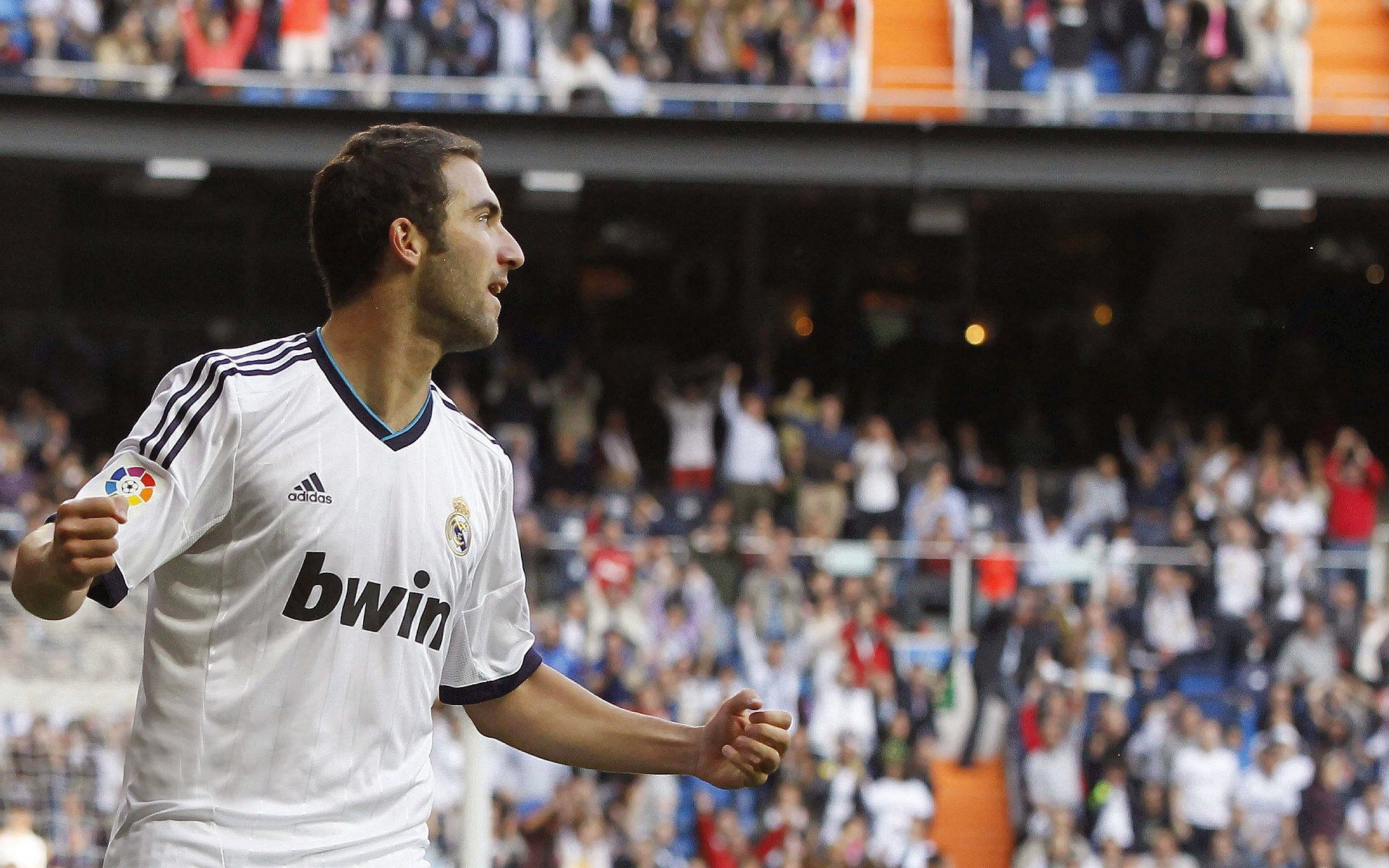 世界杯技术裁判的培训体系，世界杯裁判是怎么安排