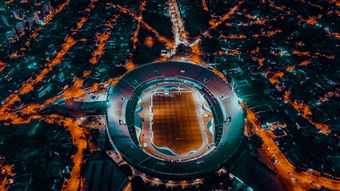 埃及队未来规划：全方位打造高水平乒乓队伍，埃及乒乓球男团名单